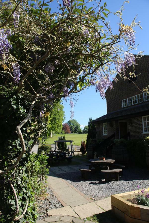 The Red Lion & Cellar Room, Betchworth Екстер'єр фото